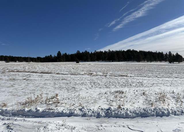 Property at Lot 13 Harriet Ward Rd, Custer, SD 57730