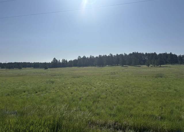Property at Lot 13 Harriet Ward Rd, Custer, SD 57730