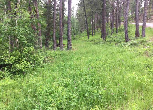 Property at 0 Danube Ln, Rapid City, SD 57702