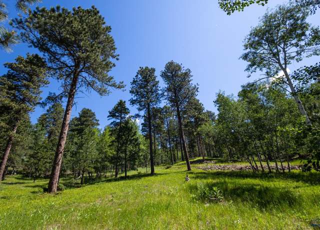 Property at Lot 18 Other, Deadwood, SD 57732