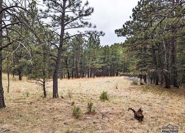 Property at TBD Lot 6 Argyle Rd, Hot Springs, SD 57747