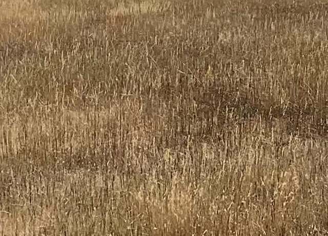 Property at Other, Piedmont, SD 57769