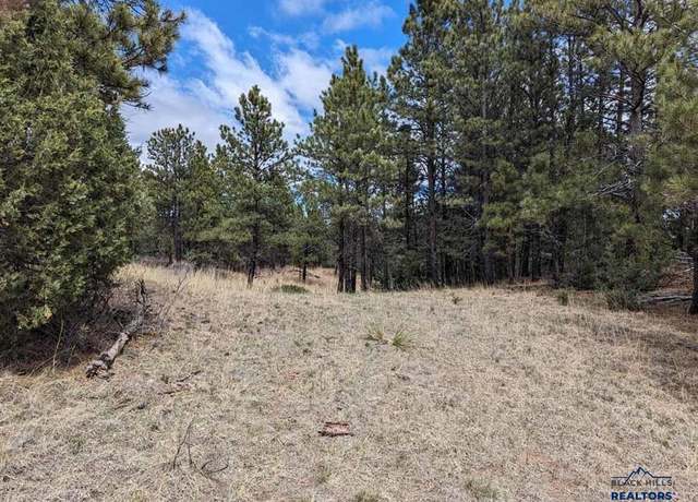 Property at Lot 4 Argyle Rd, Hot Springs, SD 57747