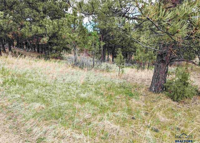 Property at Lot 3 Argyle Rd, Hot Springs, SD 57747