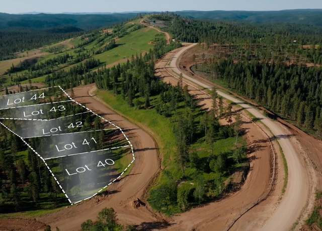 Property at Lot 43 Deer Mountain Resort, Lead, SD 57754