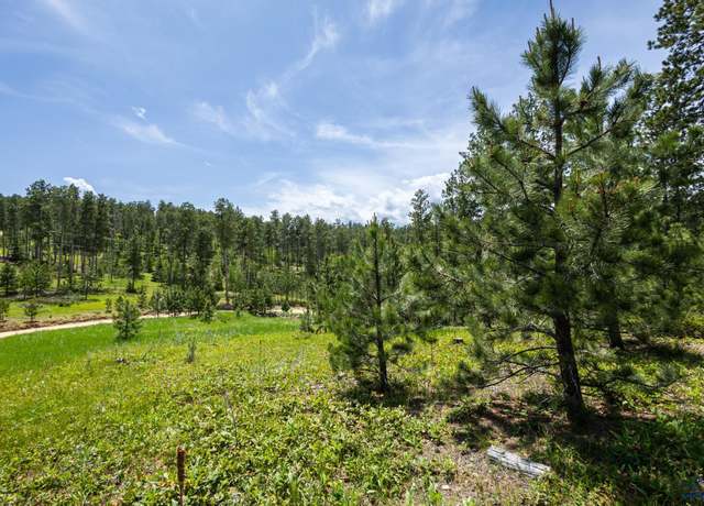 Property at Lot 4 Magpie Rd, Lead, SD 57754