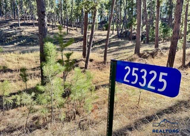 Property at 25325 Edyth Cir, Custer, SD 57730
