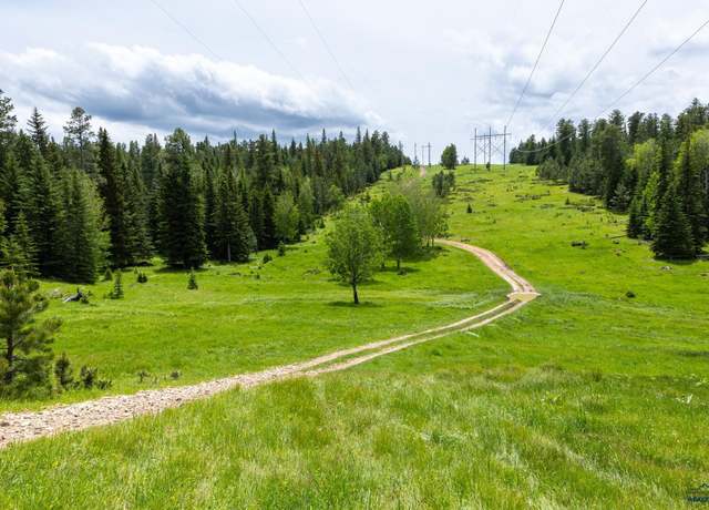 Property at 256.87 Acres White Forest Rd, Lead, SD 57754