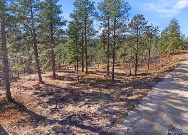 Property at Lot 1 Last Chance Trl, Lead, SD 57754