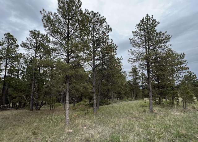Property at Lot 8 Argyle Rd, Hot Springs, SD 57747