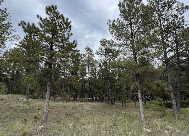 Property at Lot 9 Argyle Rd, Hot Springs, SD 57747