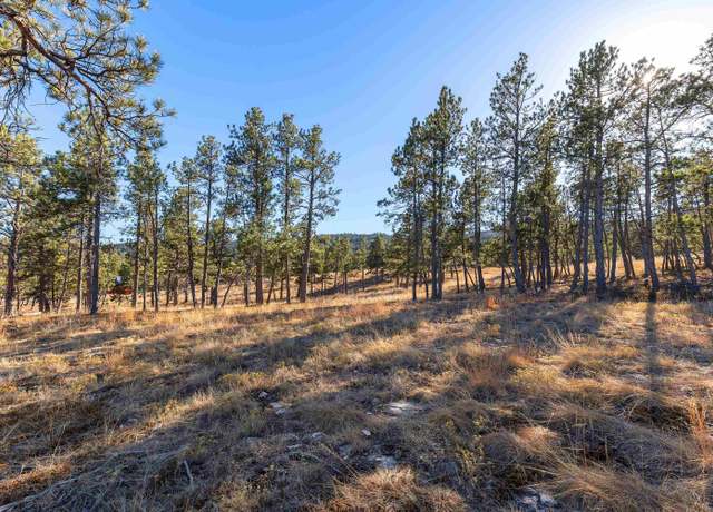 Property at Lot 13 Block 2 Mountain Shadow Pl, Piedmont, SD 57769