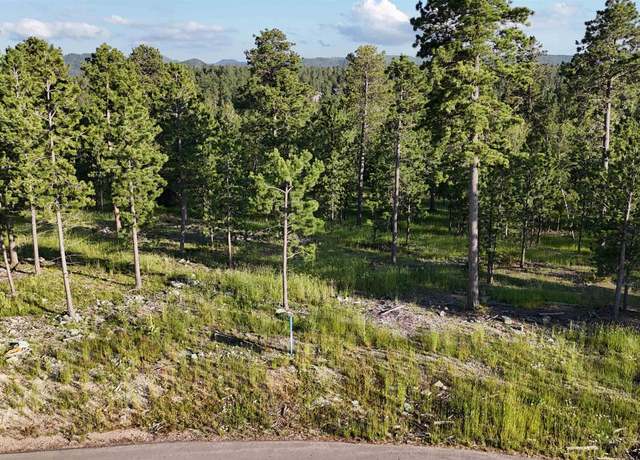 Property at Lot 3 Block 9 Overlook Pass, Lead, SD 57754