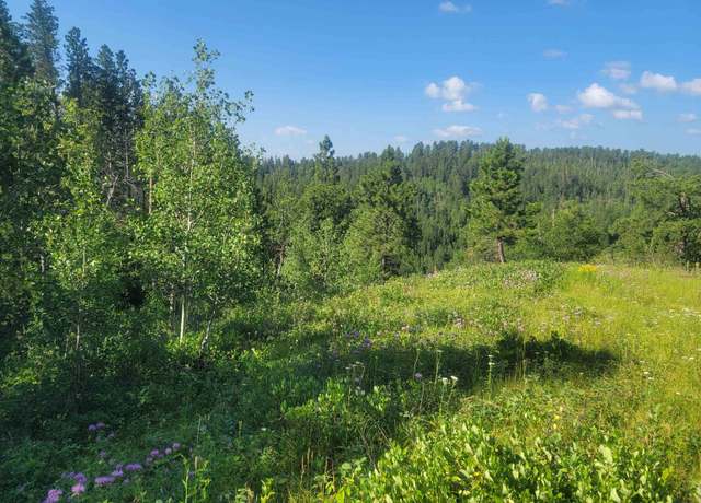 Property at TBD Last Chance Trl, Lead, SD 57754