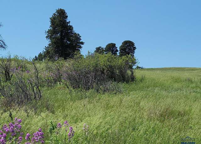 Property at TBD Other, Spearfish, SD 57783