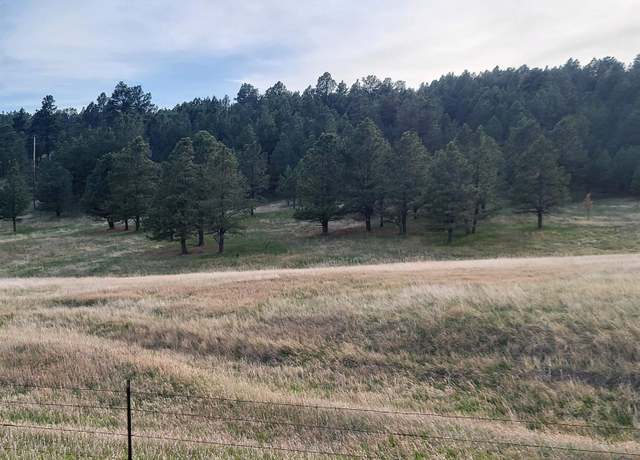 Property at TBD Lh Rd, Fairburn, SD 57738
