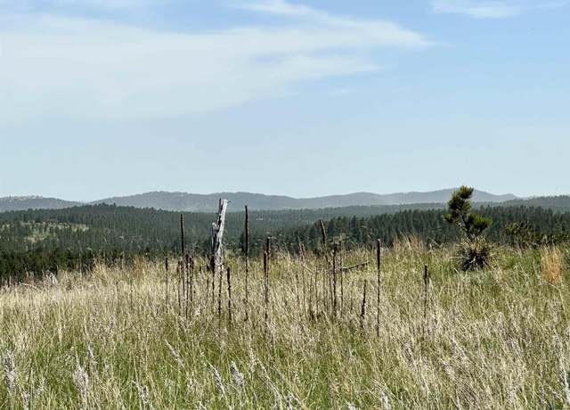 Property at Lot  3C Hwy 40, Keystone, SD 57751