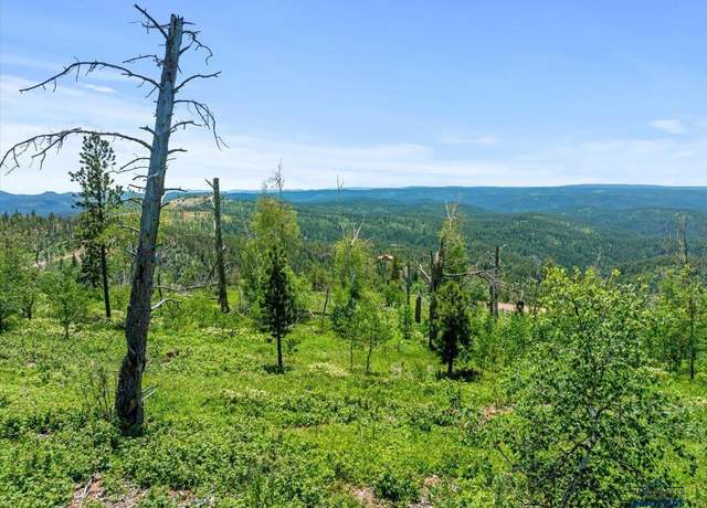 Property at Lot 1 Other, Lead, SD 57754