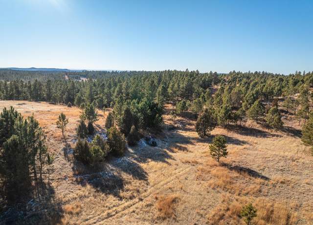 Property at Tract 1 South Park Dr, Custer, SD 57730