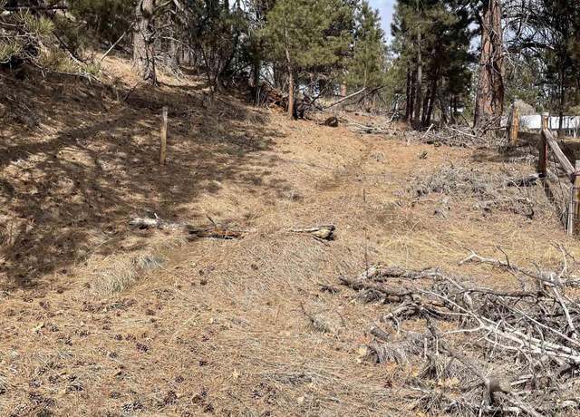 Property at TBD Hwy 40, Keystone, SD 57751