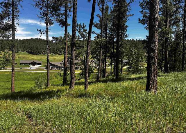 Property at Blk 7 Lot 4 Other, Hill City, SD 57745