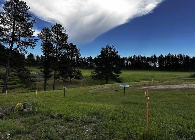 Property at Blk 6 Lot 6 Other, Hill City, SD 57745