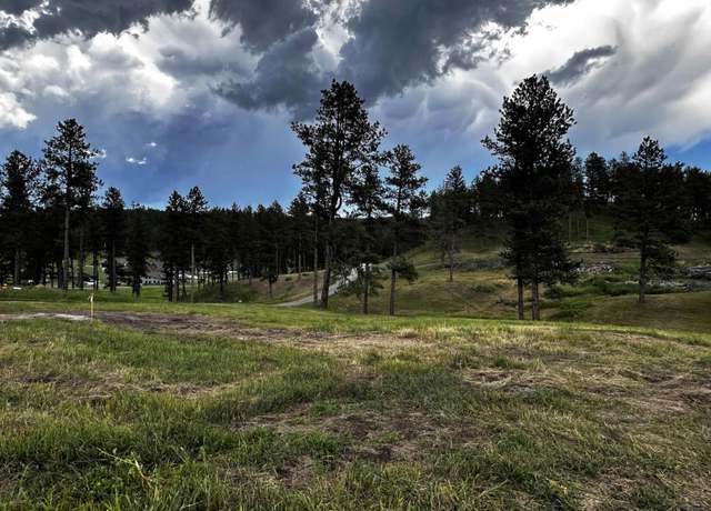 Property at Blk 6 Lot 7 Other, Hill City, SD 57745
