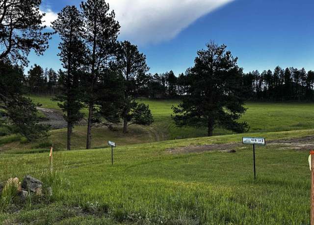 Property at Blk 6 Lot 8 Other, Hill City, SD 57745