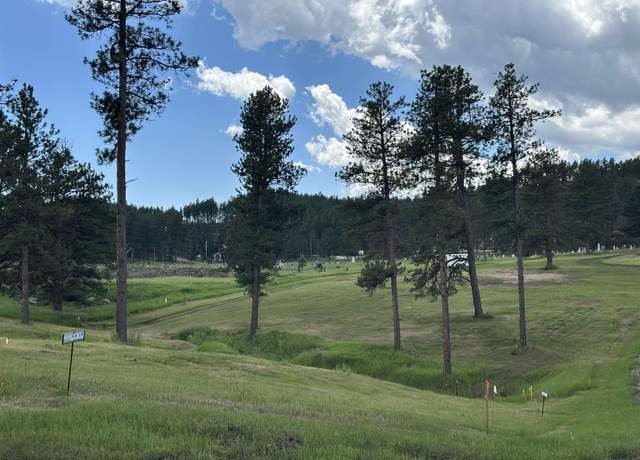 Property at Blk 6 Lot 10 Other, Hill City, SD 57745