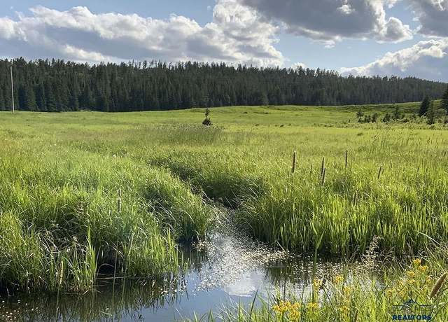 Property at 22037 N Rochford Rd, Lead, SD 57754
