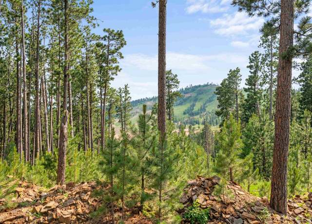 Property at Lot 1 Other, Lead, SD 57754