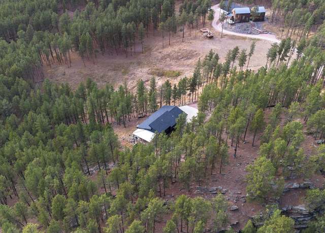 Property at tbd Thompson Dr, Hill City, SD 57745