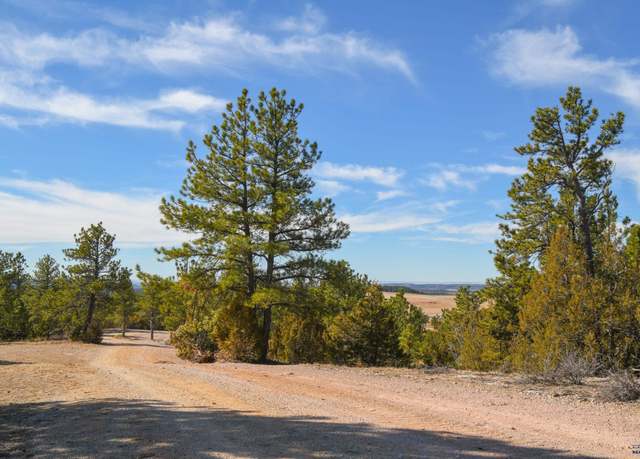 Property at TBD Remington Rd, Custer, SD 57330