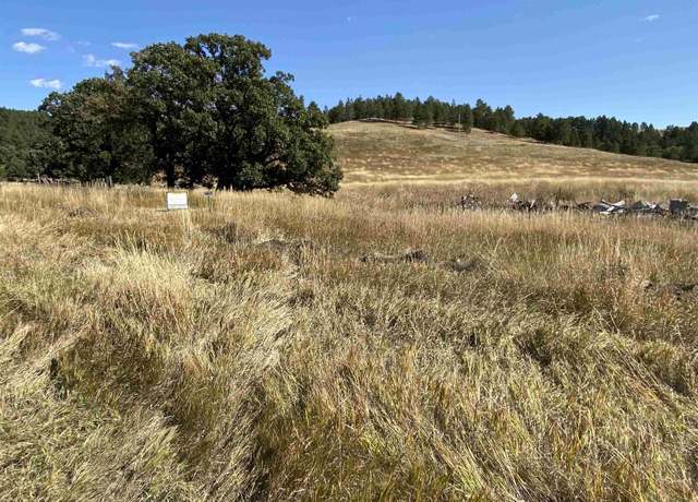 Property at TBD2 Pittman Ln, Whitewood, SD 57793