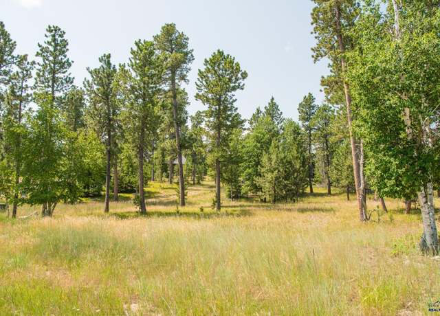 Property at TBD Rubys Way, Lead, SD 57754