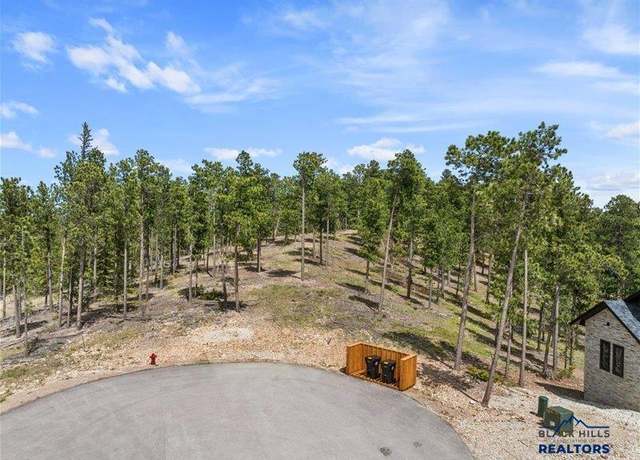 Property at 11315 Overlook Ct, Lead, SD 57754