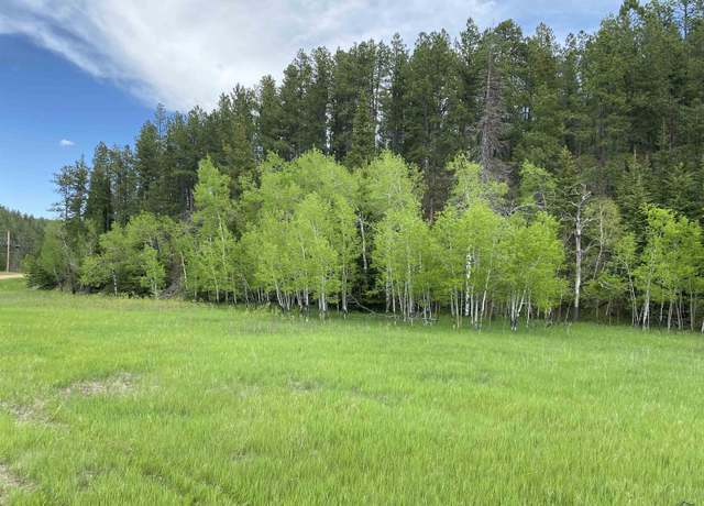 Property at Lot 5 Block 2 Benchmark Rd, Nemo, SD 57759