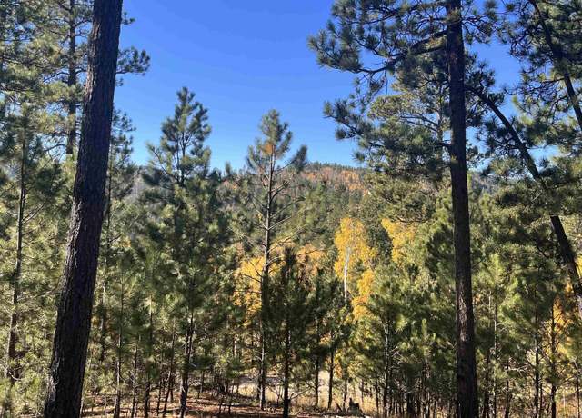 Property at Lot 16 Dynasty Rd, Lead, SD 57754