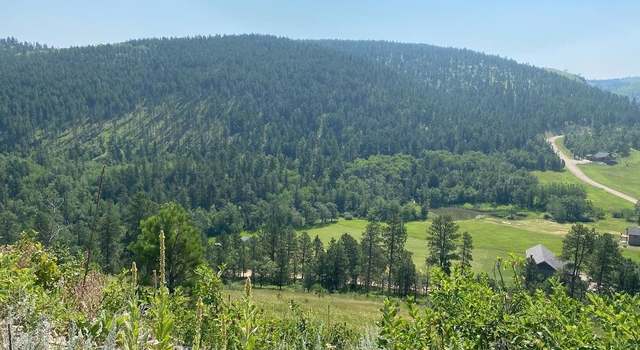 Photo of TBD Two Bit Rd, Deadwood, SD 57732