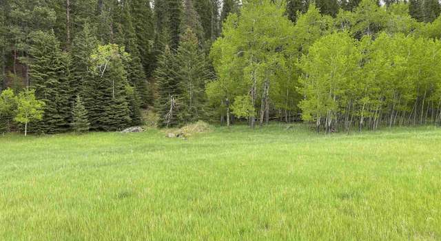 Photo of TBD Lot 5 Benchmark Rd, Nemo, SD 57759