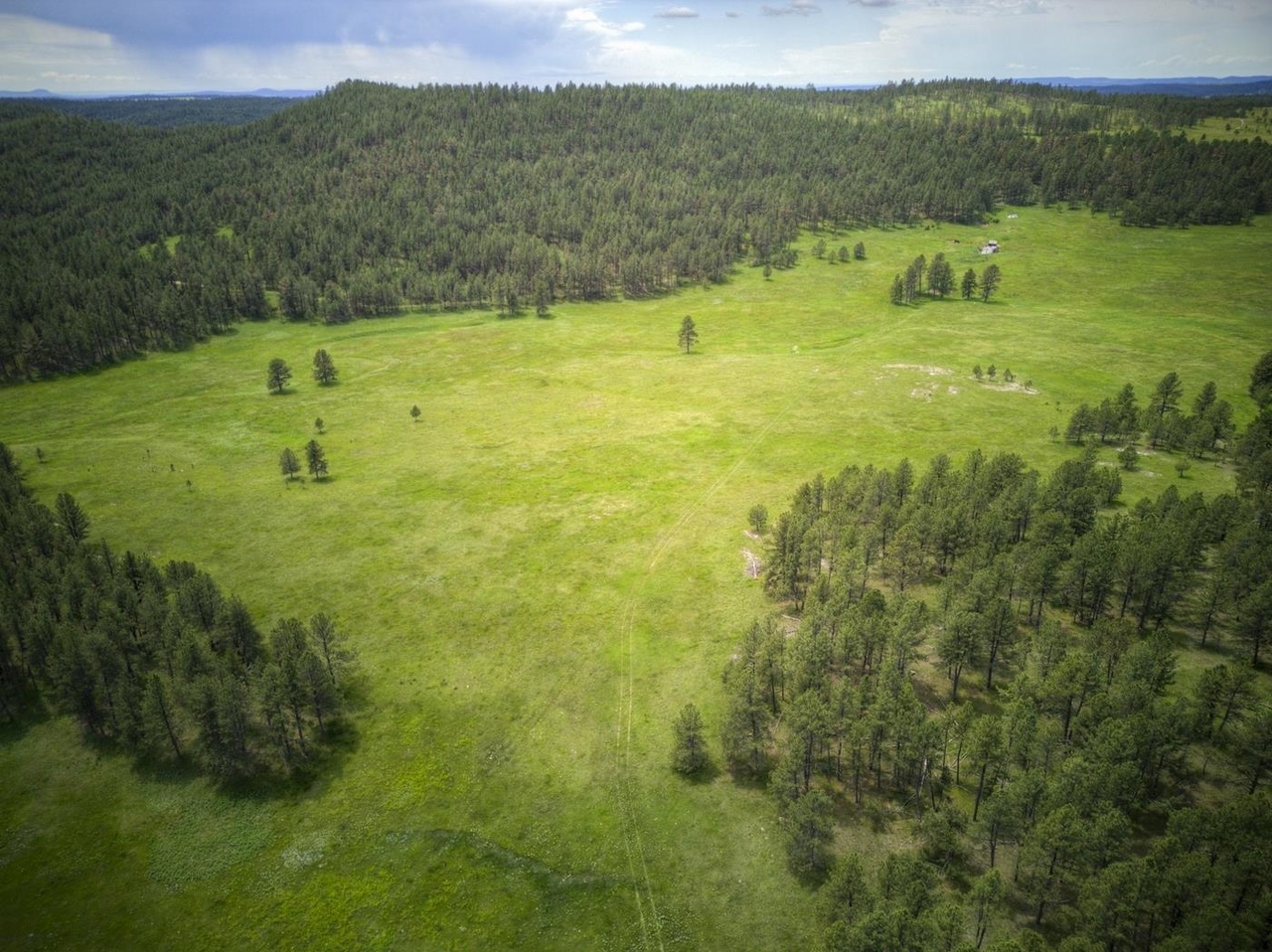 Hopkins Flts, Custer, SD 57730 MLS 76900 Redfin
