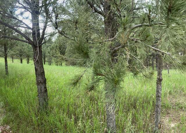 Property at Property in Custer, SD 57730