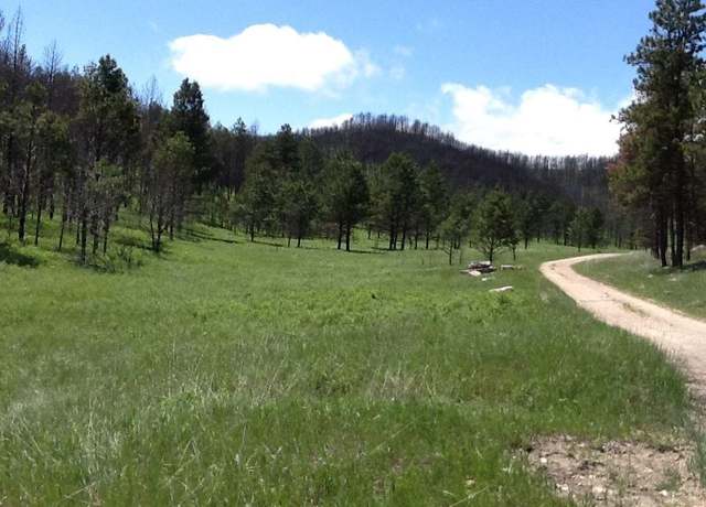 Property at TBD Song Dog Rd, Custer, SD 57730