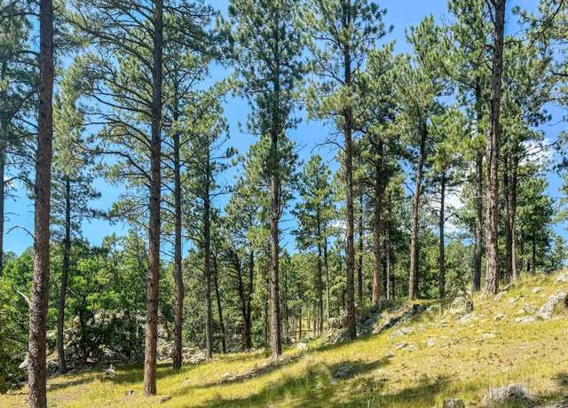 Property at Tract Campfire Three Meadows Rd, Keystone, SD 57751