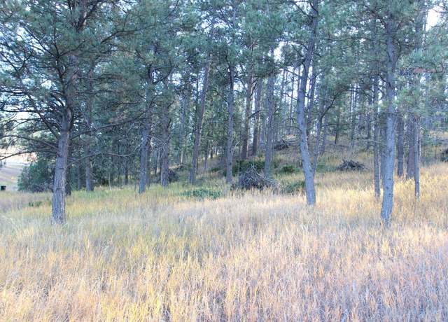 Property at 12063 Red Rock Ln, Custer, SD 57730