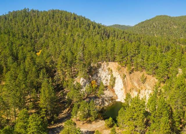 Property at Dan Patch #4 Lafferty Gulch, Keystone, SD 57751