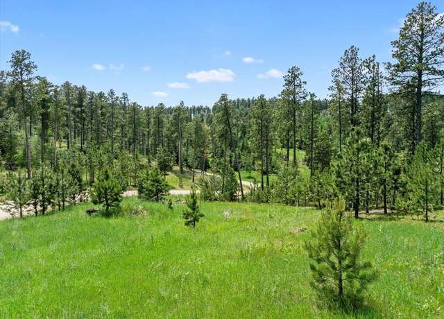 Property at Lot 4 Magpie Rd, Lead, SD 57754