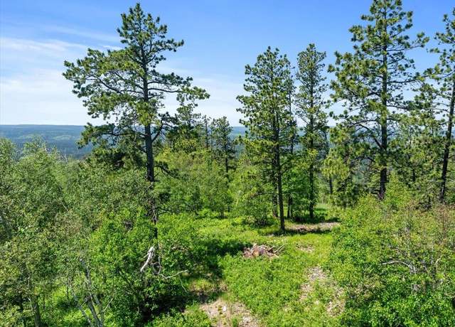 Property at 3 Lot 3, Lead, SD 57754