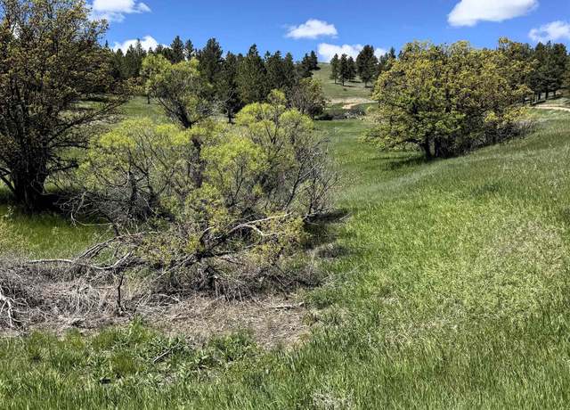 Property at 11 Tower Ridge Dr, Devils Tower, WY 82714, 1 bed
