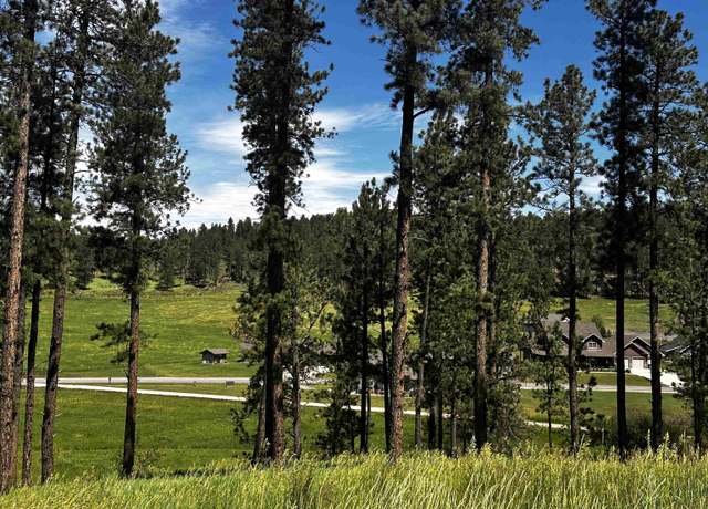 Property at Blk 7 4 Lot 4, Hill City, SD 57745
